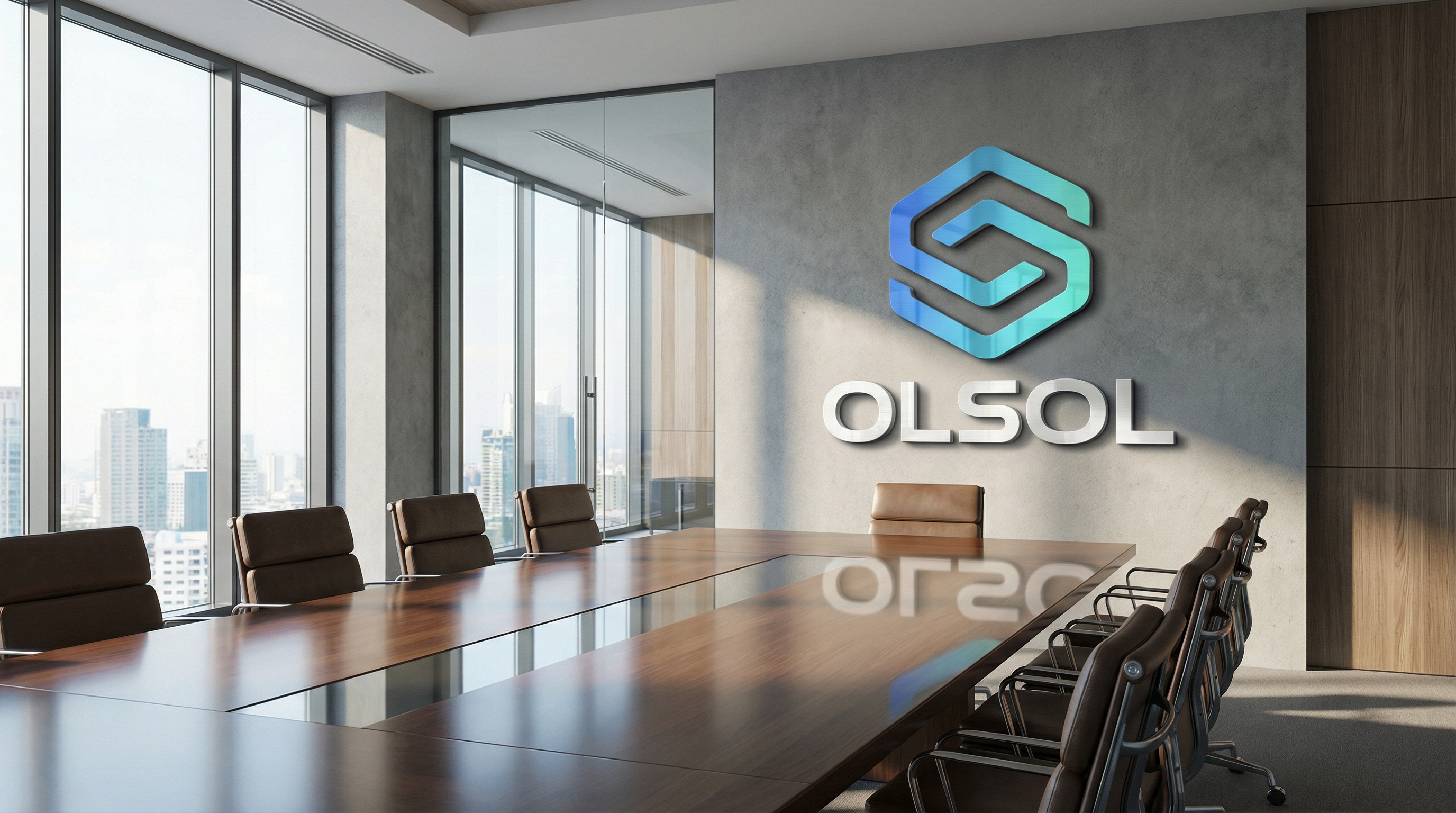 OLSOL Exchange contact and business meeting